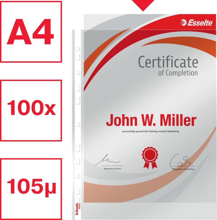 Actual product image Leitz Esselte Premium brochure cover, A4, PP, crystal clear, 0.10 mm open top, document-proof, Euro (A4, 1 x)