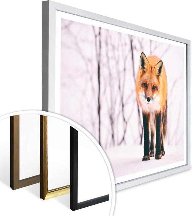 Immagine prodotto Trenddeko Volpe nella neve - 2 pezzi (30 x 24 cm)