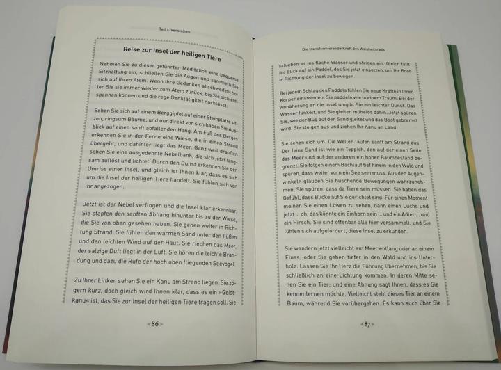 Produktbild Das Weisheitsrad (Deutsch, Alberto Villoldo, 2022)