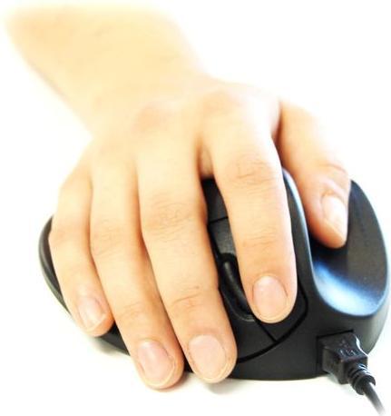 Actual product image Hippus HandShoe (Cable)