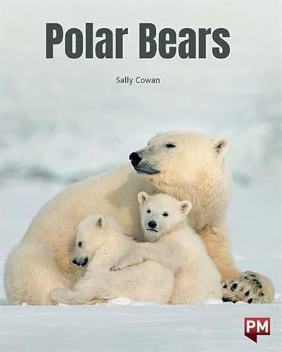 Polar Bears (Englisch, Sally Cowan)
