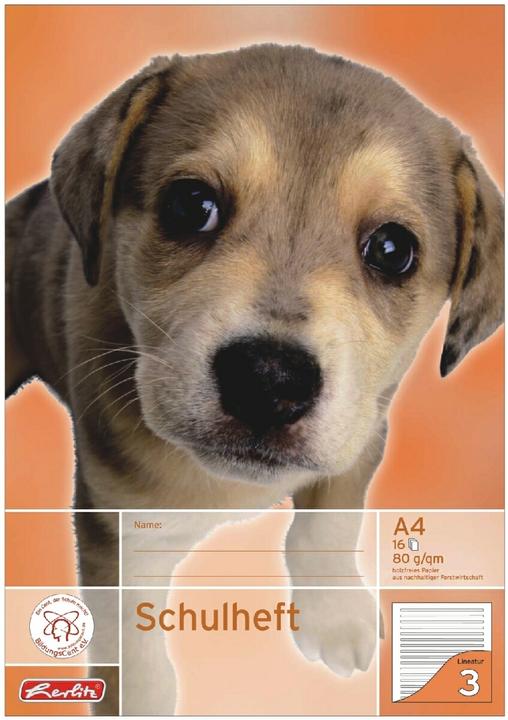 Image du produit Herlitz Cahier d'école X-Book, DIN A4, linéature 3 (A4, À rayures, Non contraignant)