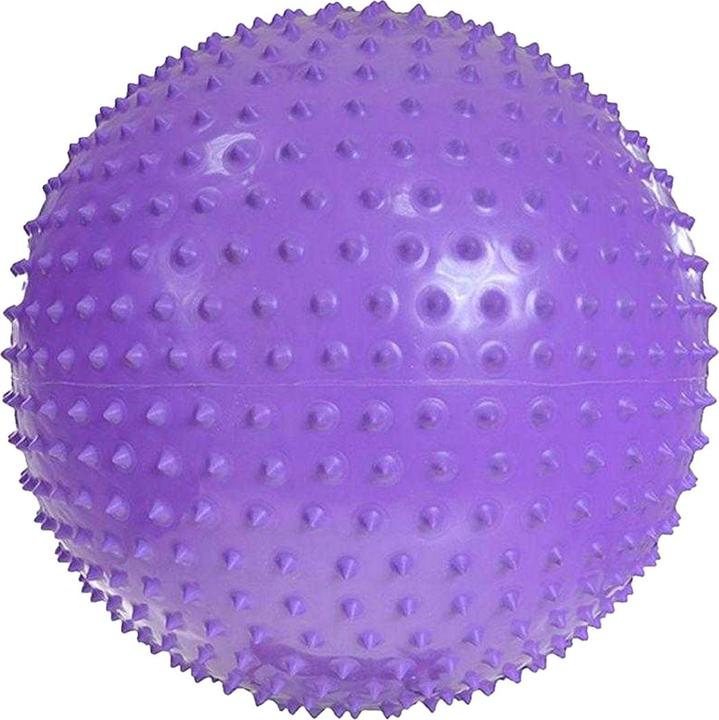 Produktbild Pro-Fit Massage Exercise Ball (55 cm)