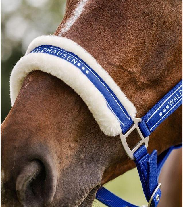 Produktbild Waldhausen Eleganter Halfter