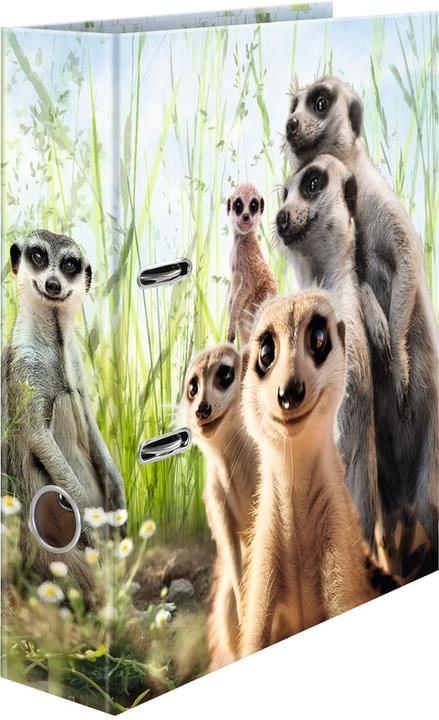 Image du produit HERMA Suricate (A4, 70 mm, 1 pièce(s))