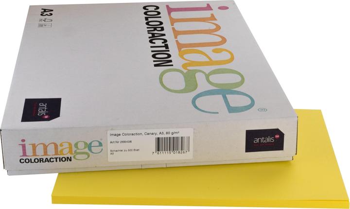 Image du produit Image Papier à copier Canary A3 (A3, 250 feuilles, 120 g/m²)