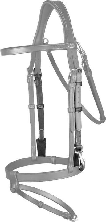 Actual product image Dy'on Horse bit holder with snap hooks