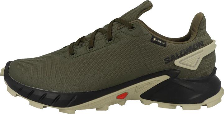 Produktbild Salomon Alphacross 4 GTX (46)