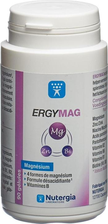 Nutergia ERGYMAG gélules (90 pcs) (90 pièce(s), Capsules, 73 g)