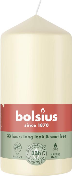 Actual product image Bolsius Stumpenkerze 120/58mm Perle (1 pcs.)