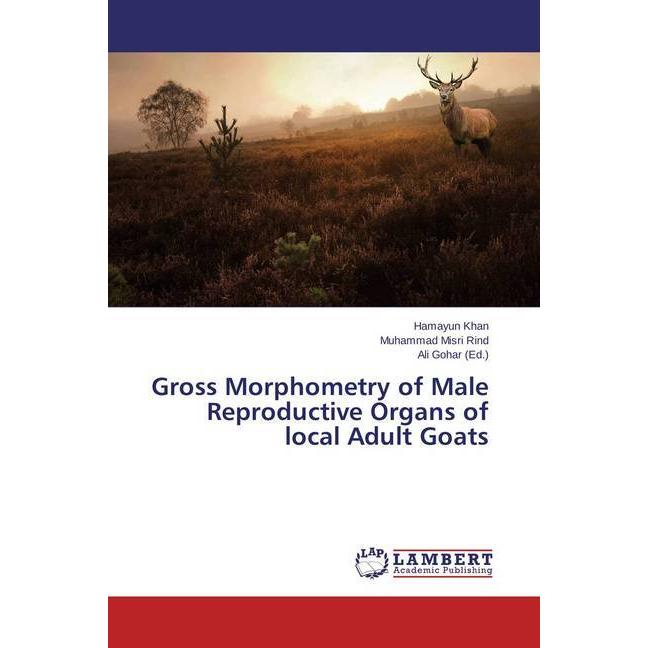 Gross Morphometry of Male Reproductive Organs of local Adult Goats, Fachbücher von Hamayun Khan, Muhammad Misri Rind