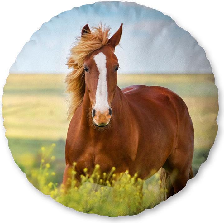 Actual product image Herding Horse Soft Velboa Round Cushion (50 cm)