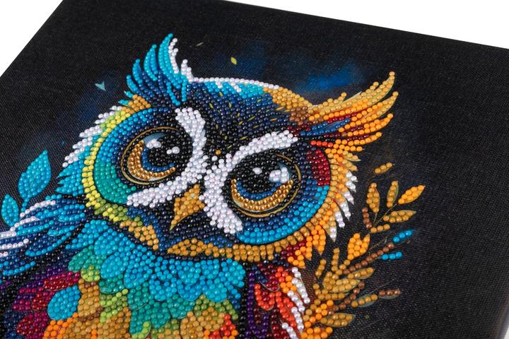 Immagine prodotto Craft Buddy Gufo, Kit artistico in cristallo 30x30cm