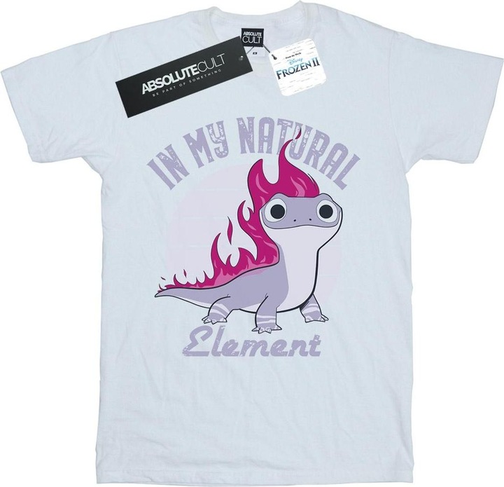 Produktbild Disney Frozen 2 Salamander Bruni Element TShirt (L)