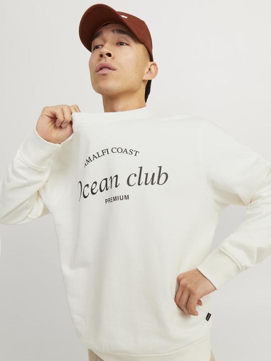 Produktbild Jack & Jones Gedruckt Sweatshirt mit Rundhals Sweatshirt mit Rundhals (XXL)