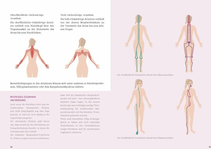 Produktbild Das grosse Faszien-Yoga Buch (Deutsch, Daniela Meinl, 2017)