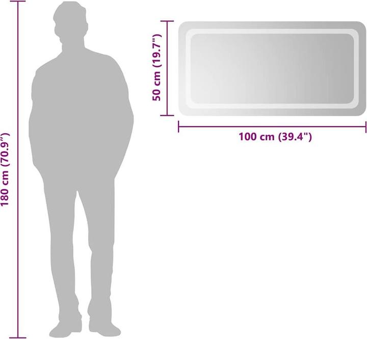 Image du produit vidaXL Spiegel (100 x 50 cm)