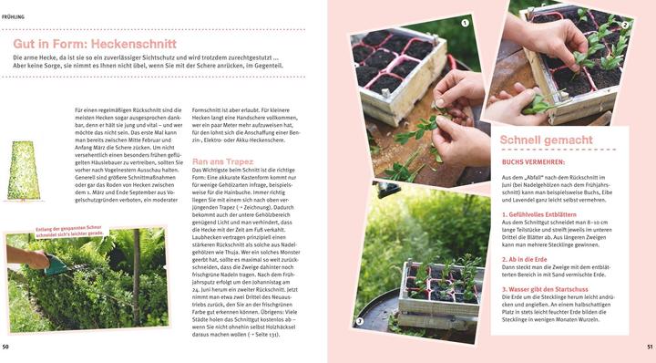 Actual product image Gartenbasics Gärtnern für Anfänger (German, Mascha Shaft, 2013)