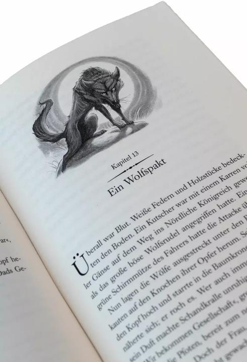 Image du produit Land of Stories: Das magische Land 1 – Die Suche nach dem Wunschzauber (Allemand, Brandon Dorman, Chris Colfer, Fabienne Pfeiffer, 2019)