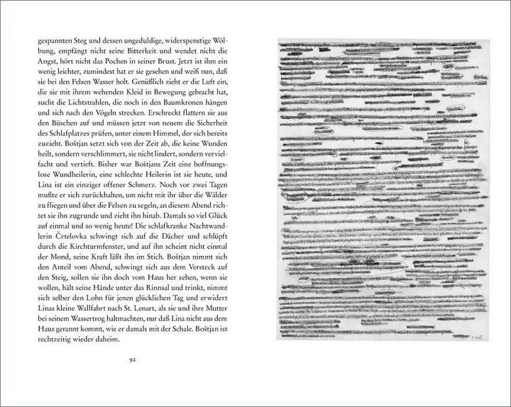 Produktbild Bostjans Flug (Deutsch, Florjan Lipus, Johann Strutz, 2012)