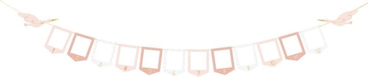 Produktbild Partydeco Guirlande - Cadre photos rose (1 Stk.)