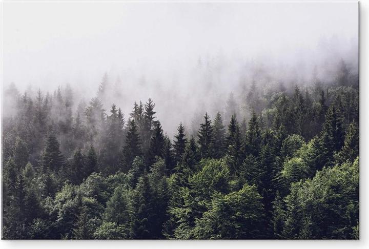 Image du produit Trenddeko Forêt brumeuse (150 x 100 cm)