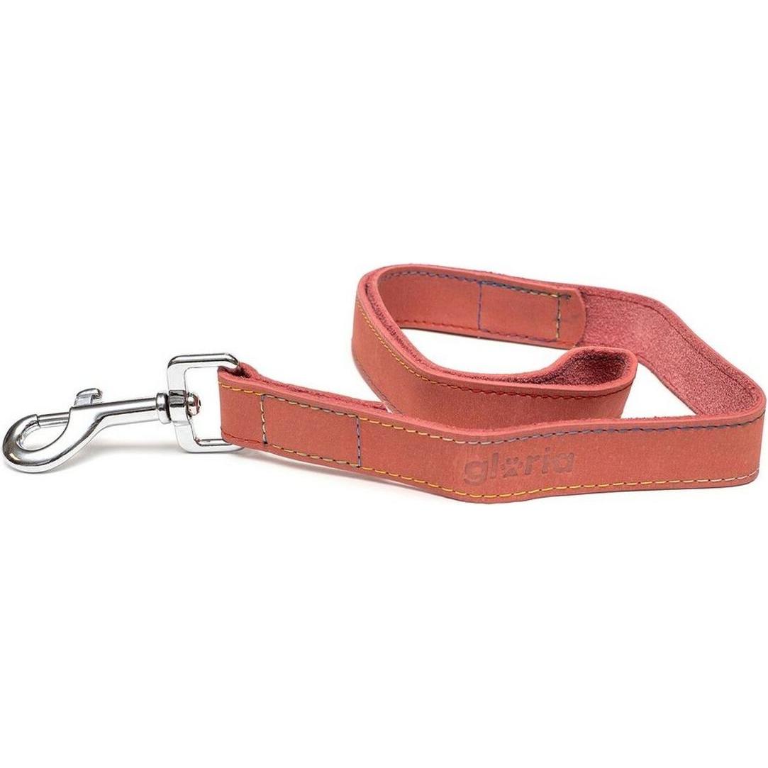 Comparer les prix de Laisse pour Chien Gloria Oasis 2.1 x 100 cm Rose