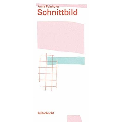 Schnittbild, Belletristik von Anna Felnhofer