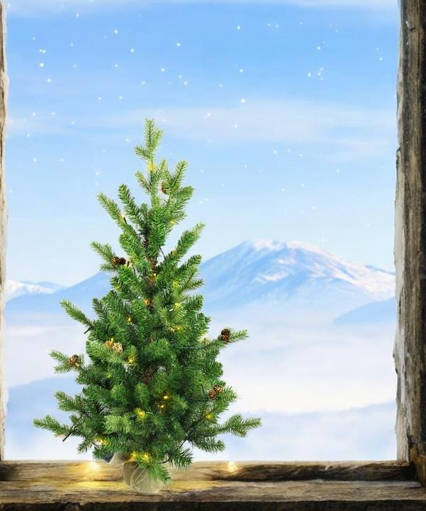 Image du produit GuGus Arbre de Noël
