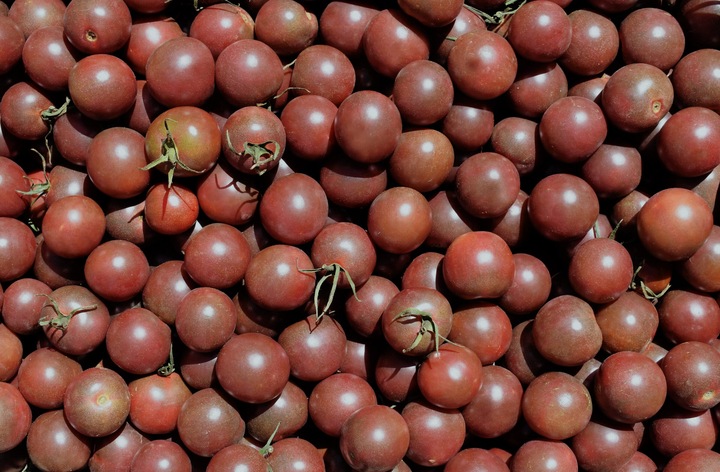 Immagine prodotto Living Seeds Pomodoro ciliegino, black Cherry (Semi di verdura)