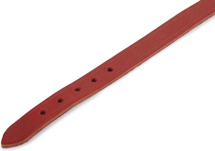 Produktbild Beeztees BZ LEDERHALSBAND ROT 42X16 (42, Hund, Allgemein)