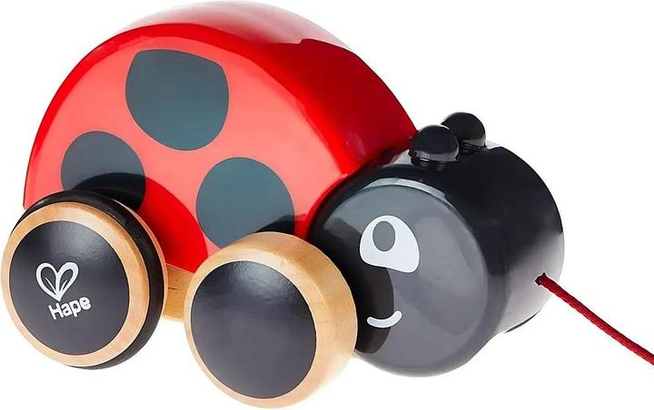 Actual product image Hape Marie