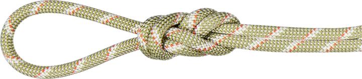Produktbild Mammut 8.0 Alpine Classic Kletterseil (50 m)