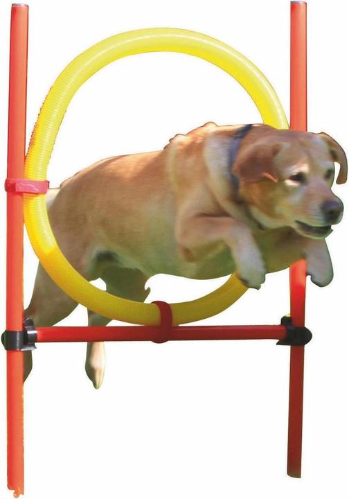 Actual product image Kerbl Complete set (One size, Agility)