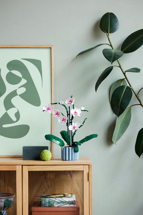 Immagine prodotto LEGO Orchidea (10311, LEGO Botanical)