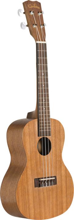 Actual product image Cordoba UP100 (Concert)
