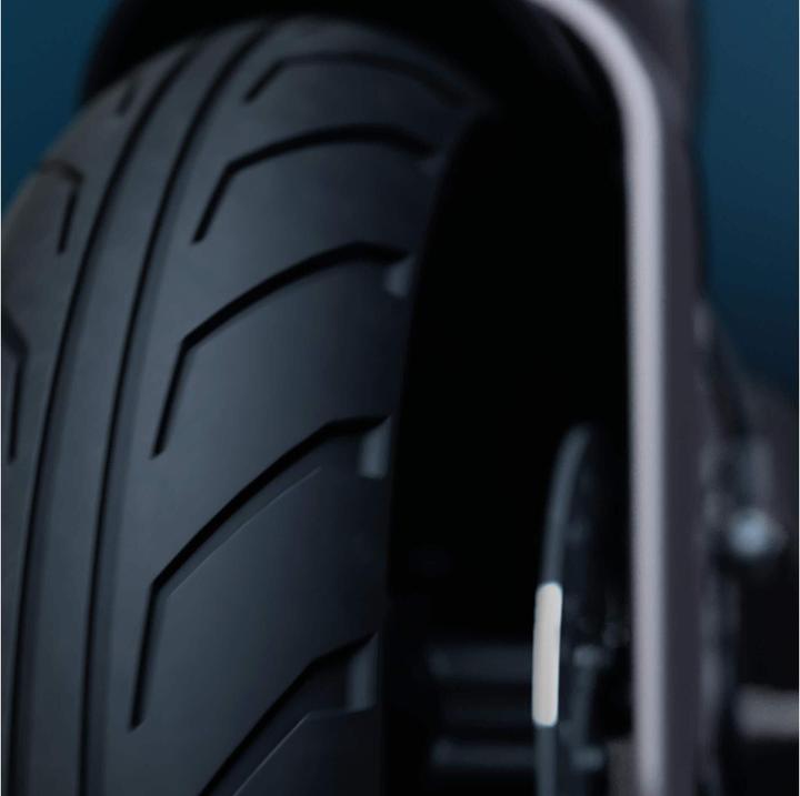 Image du produit Egret Pro (20 km/h, 80 km, 500 W)