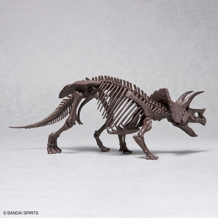 Produktbild Bandai Imaginäres Skelett 1/32 Triceratops