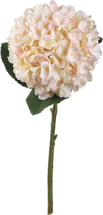Actual product image Hill Interiors Artificial Flower Hydrangea (42 cm)