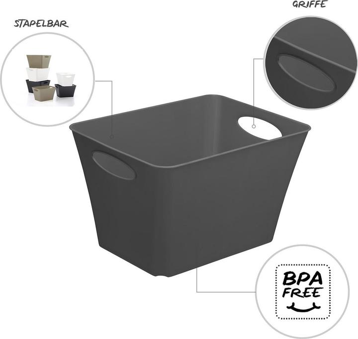 Image du produit Rotho Livingbox (39.5 x 31 x 52.5 cm, 44 l)