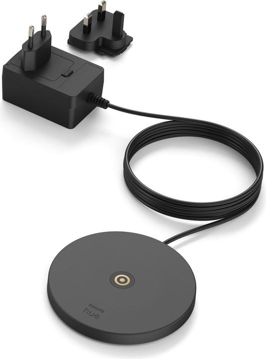 Actual product image Philips Hue Go (370 lm)