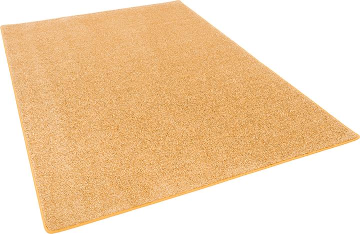 Produktbild Snapstyle Hochflor Langflor Teppich Cottage (100x200 cm)