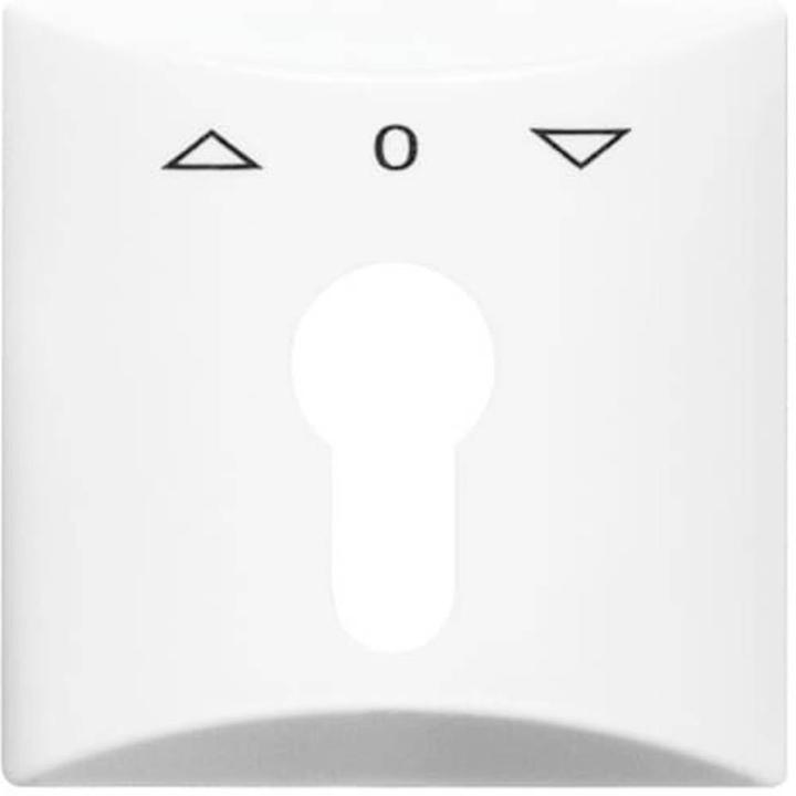 Actual product image Busch-Jaeger Central disk