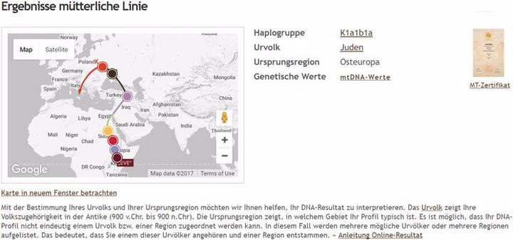 Image du produit iGenea Analyse d'origine par ADN Premium