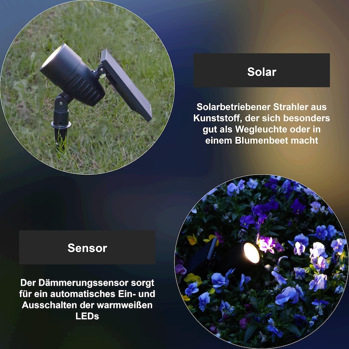 Produktbild Star Trading Solar Powerspot (50 lm, IP44)