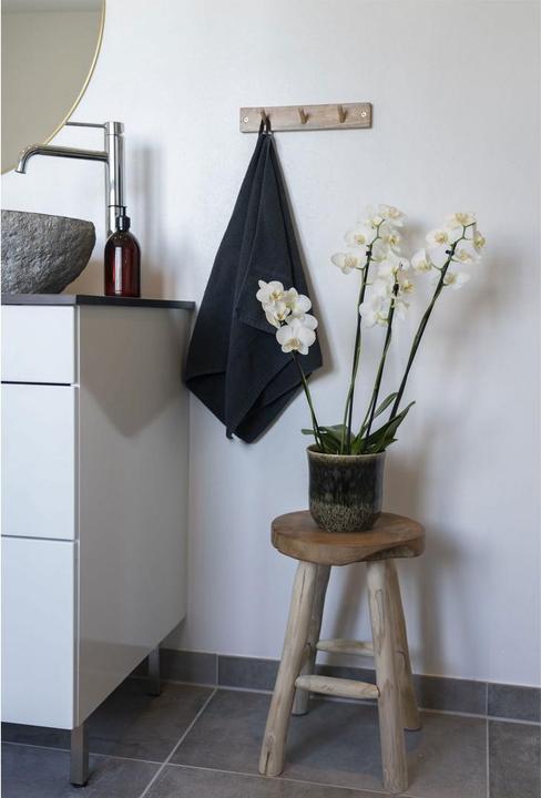 Image du produit House Nordic Badia