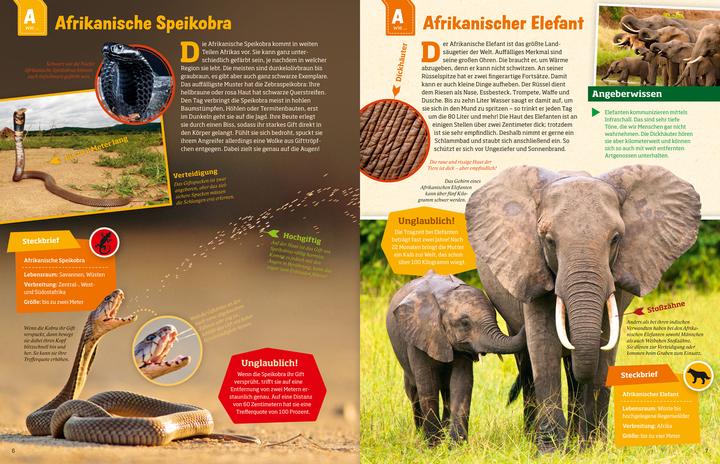 Produktbild Tessloff Geniale Tiere... und ihre Tricks (Deutsch, Andrea Weller-Essers, 2015)