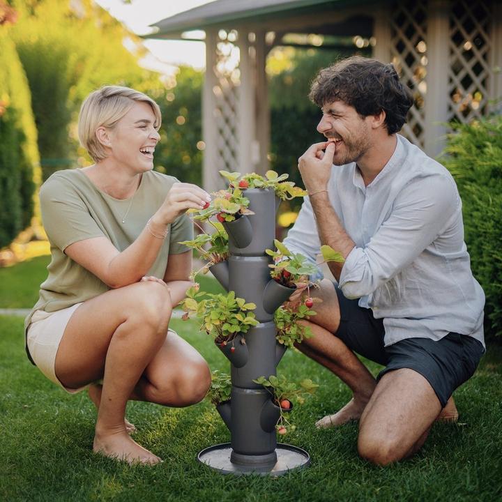 Actual product image Gusta Garden Sissi Strawnerry (27 cm)