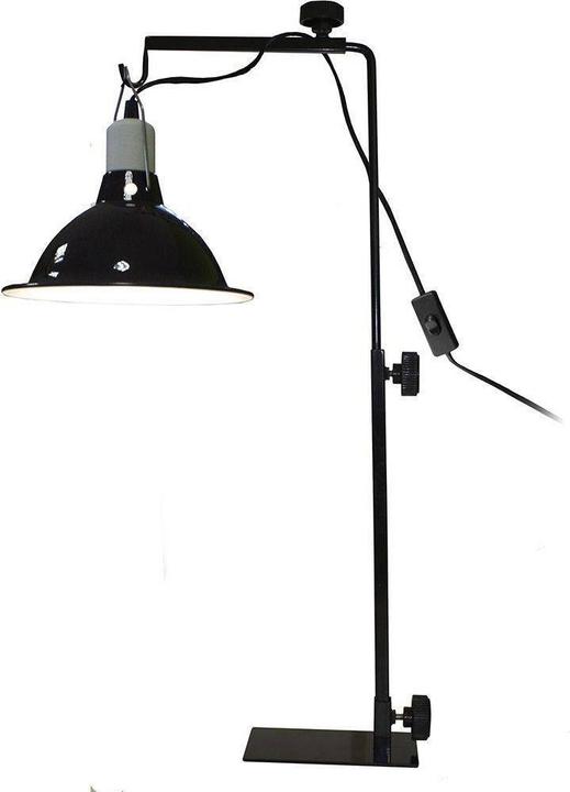 Komodo Licht Standaard