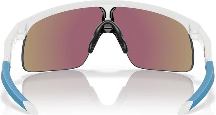 Actual product image Oakley Resistor (Polished white, Prizm Sapphires)